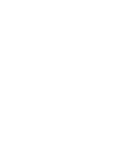 Festive Tree