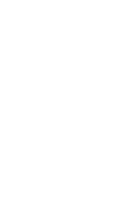 Funselektor Flag