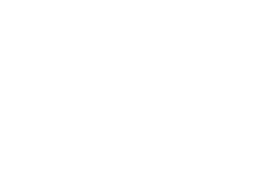 Shovel