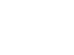 Traction Boards