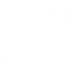 Squeaky Horn