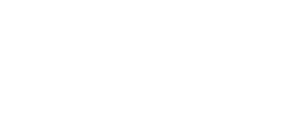 Bull Bar Type 1 - Black