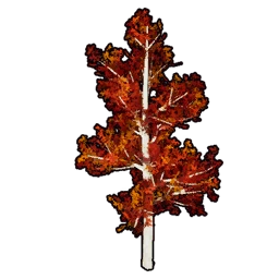 Faux Crimson Foliage B