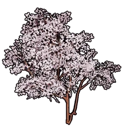 Faux Cherry Blossoms A