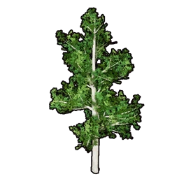 Faux Greenery B