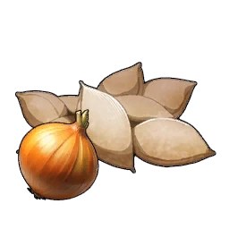 Onion Seeds