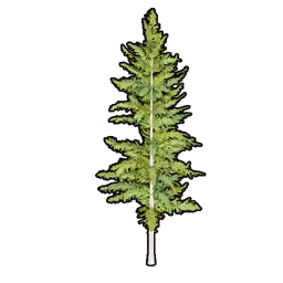 Faux Greenery C