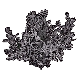 Faux White Bush