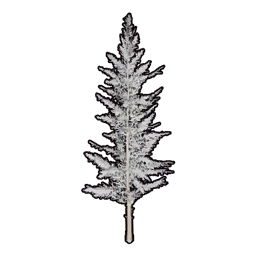 Faux Snowy Greenery C