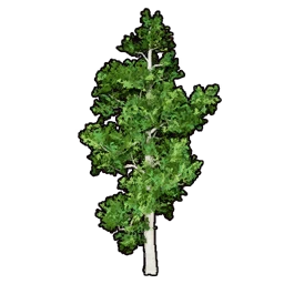 Faux Greenery A
