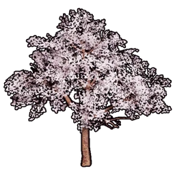 Faux Cherry Blossoms B