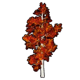 Faux Crimson Foliage A