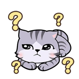 Extradimensional Cat-???????