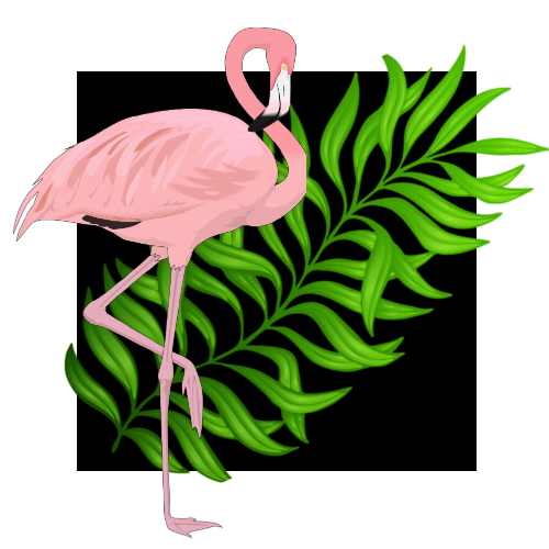 Fabulous Flamingos image 14