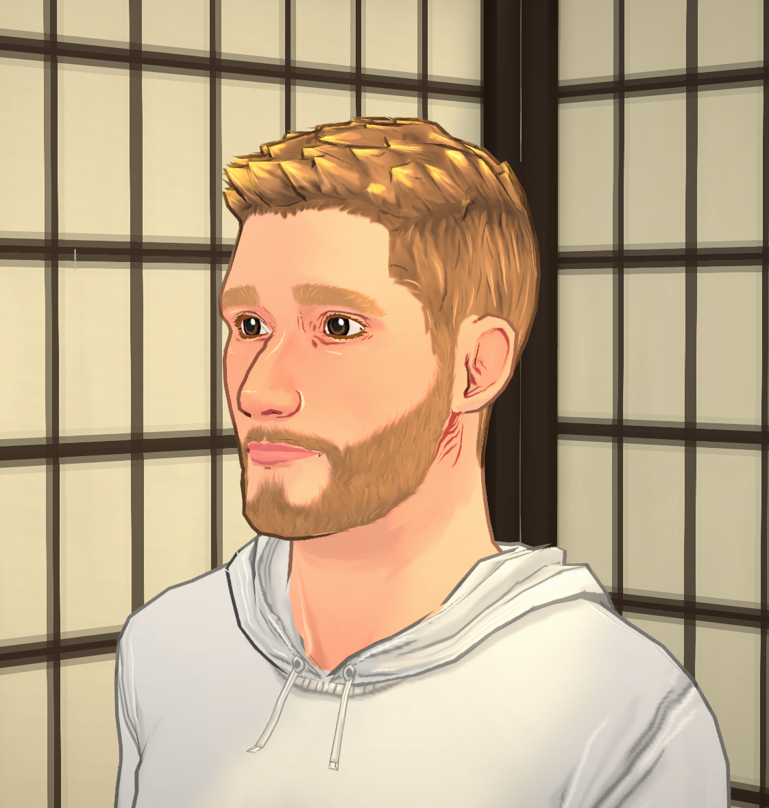 Paraself image 1