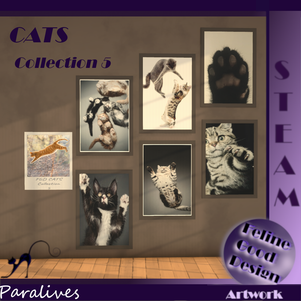 FGD CATS Collection 5 image 1