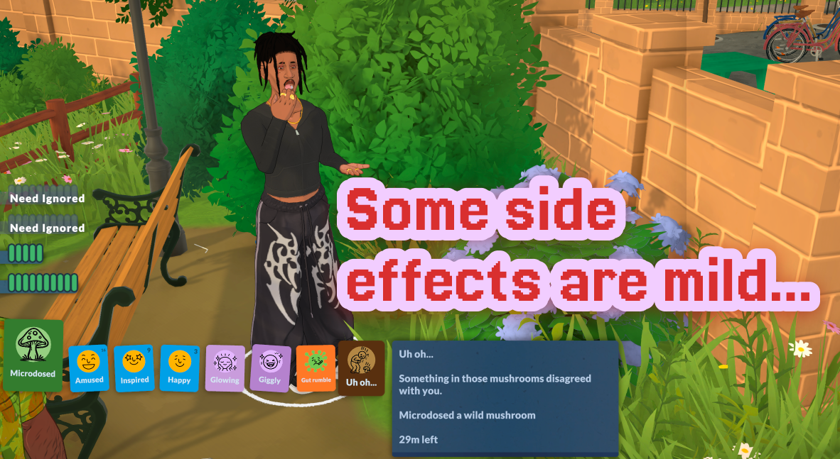 Magic Mushrooms image 6