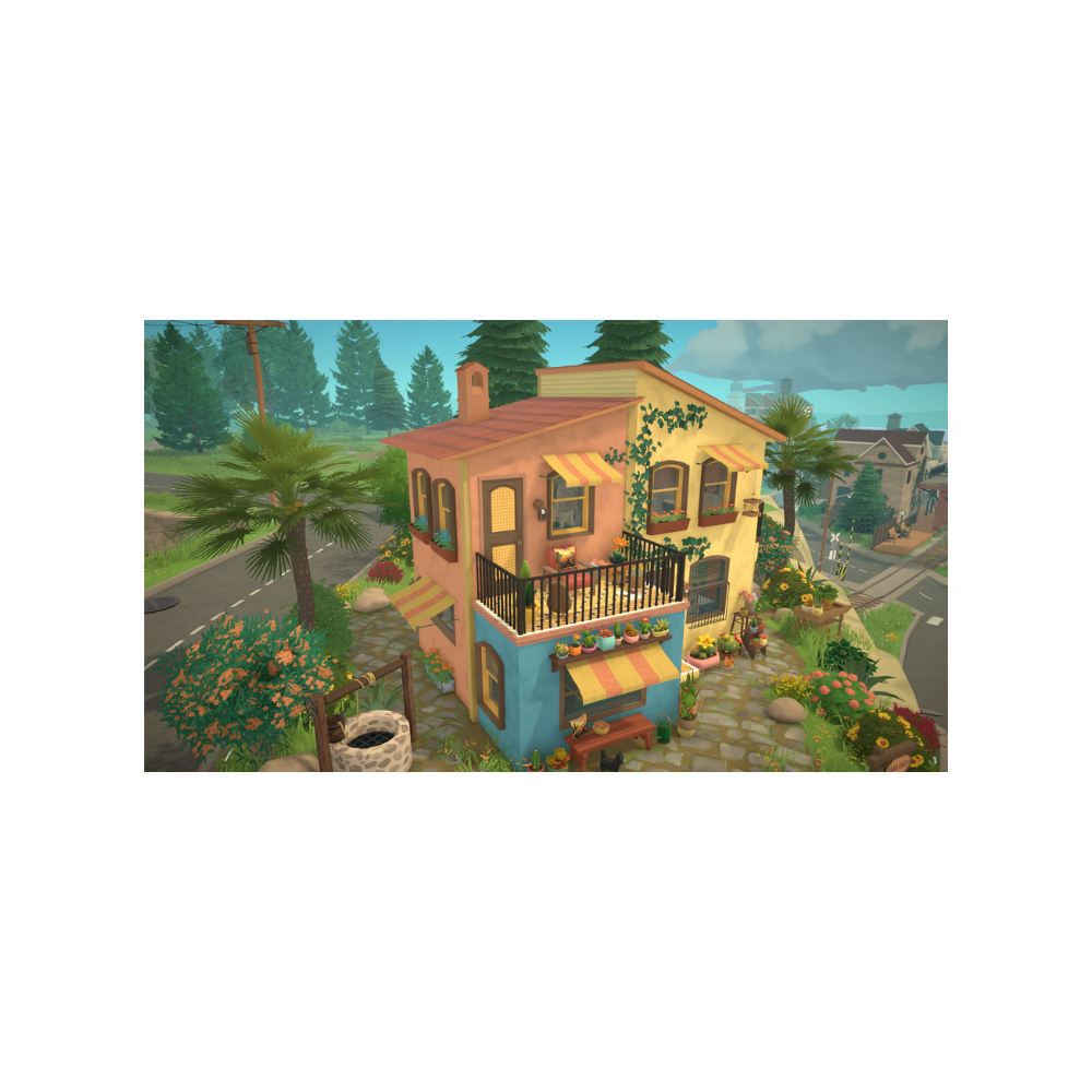 'Cacti Casa' Starter image 8