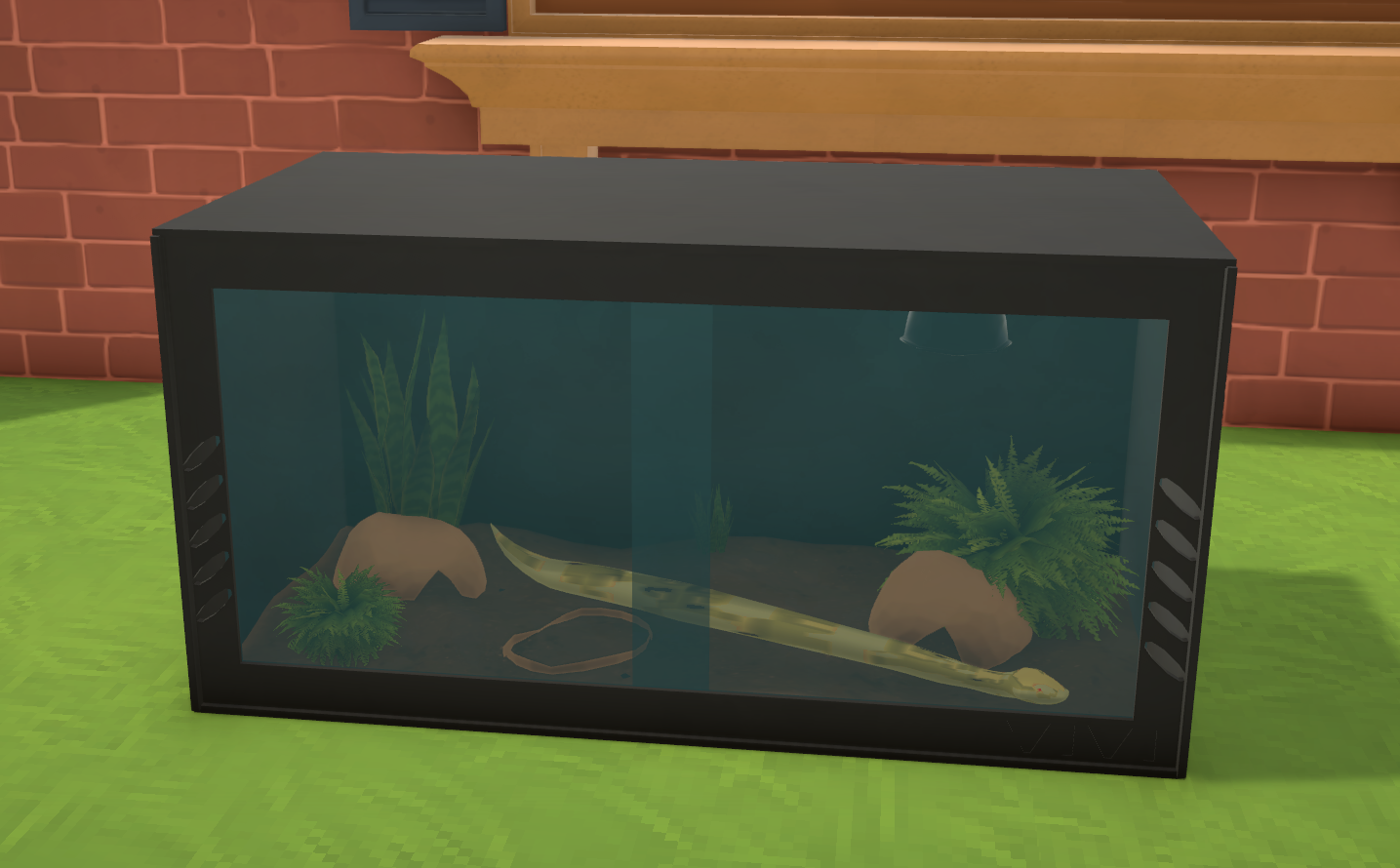 Ball Python [Mafloppi's Vivarium Set] image 2