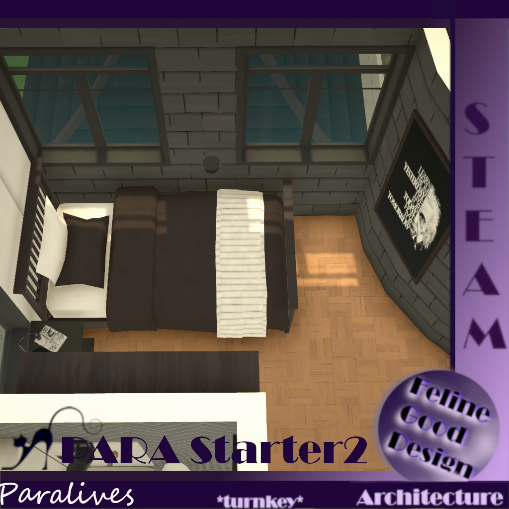 PARA Starter 2 -turnkey- image 10