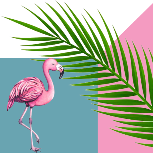 Fabulous Flamingos image 5
