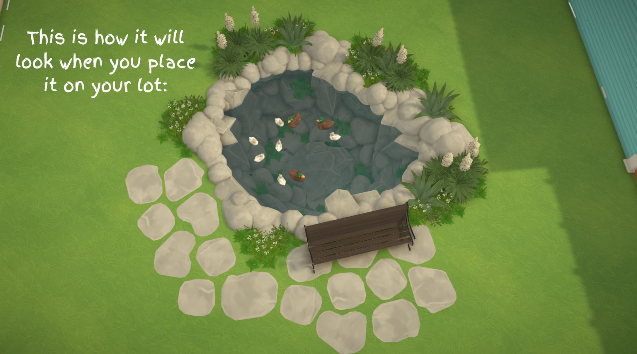 Duck Pond image 5