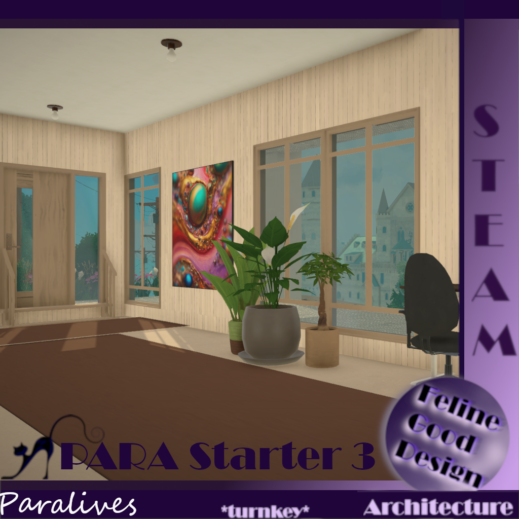 PARA Starter 3 -turnkey- image 4