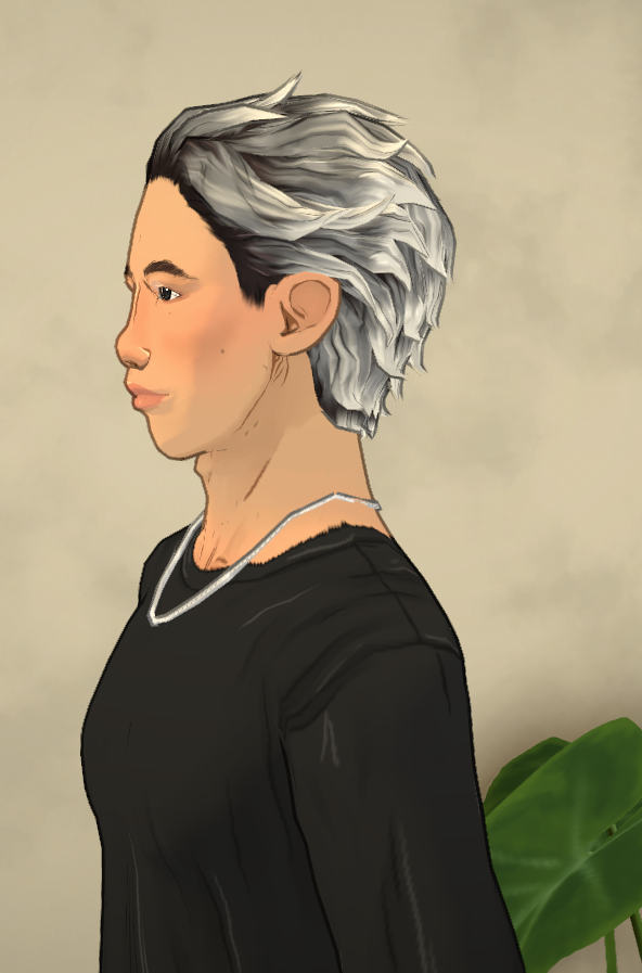 Kim Namjoon From BTS Household image 2