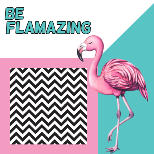 Fabulous Flamingos image 6