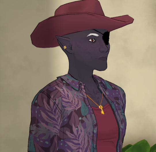 Jarlaxle Baenre image 2