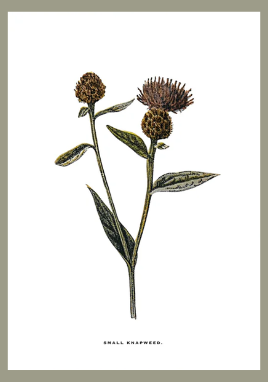 Flower art image 6