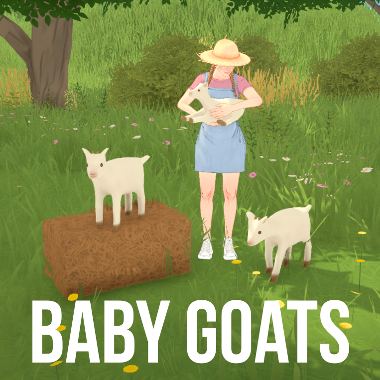 Baby Goats image 1