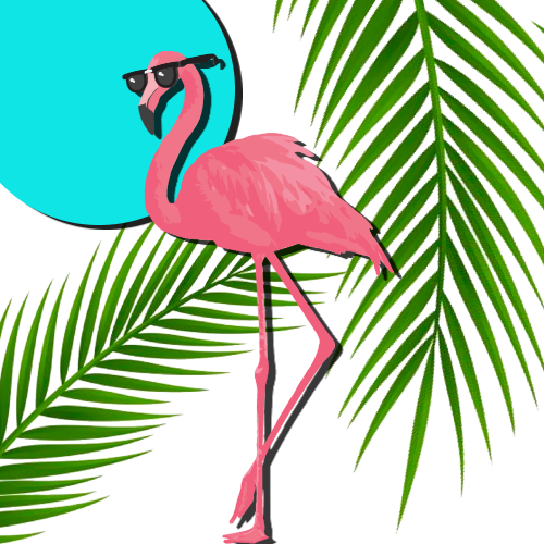 Fabulous Flamingos image 1