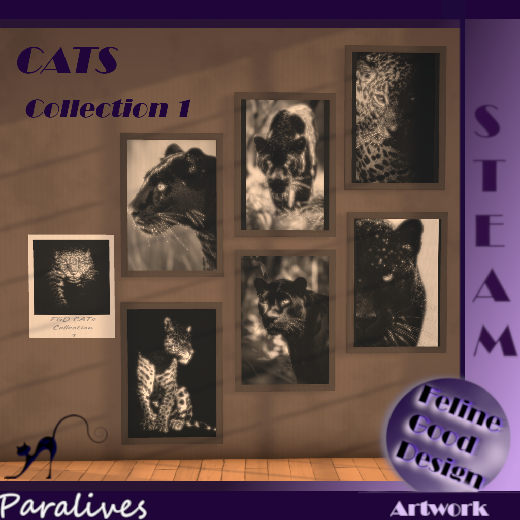 FGD CATS Collection 1 image 1