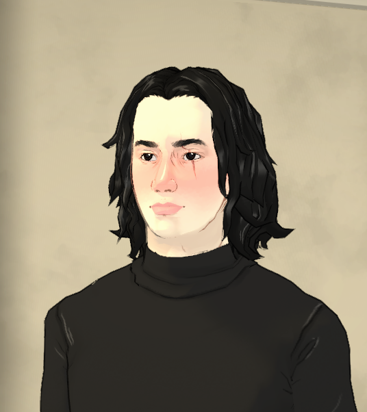 The (Kylo) Ren Household image 1