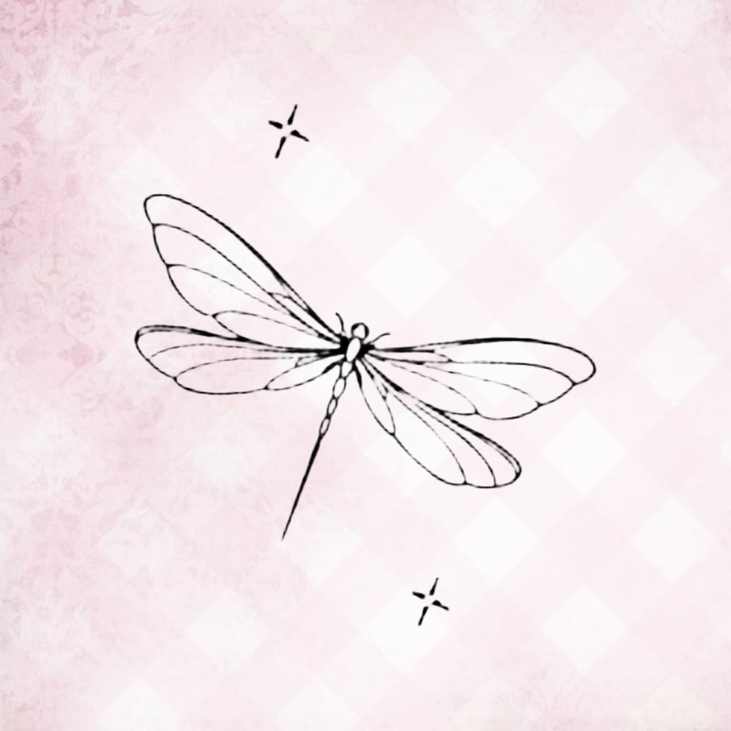 fineline tattoo pack image 3