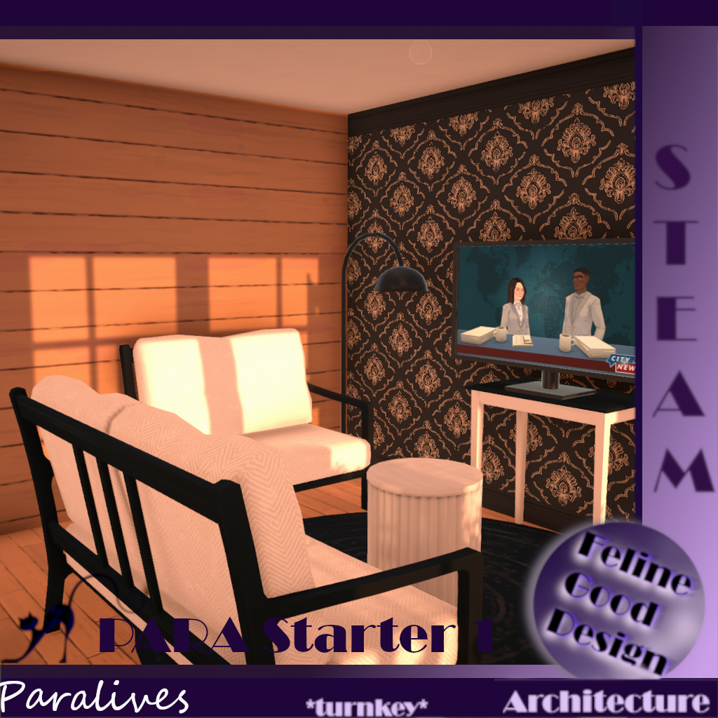PARA Starter 1 -turnkey- image 5