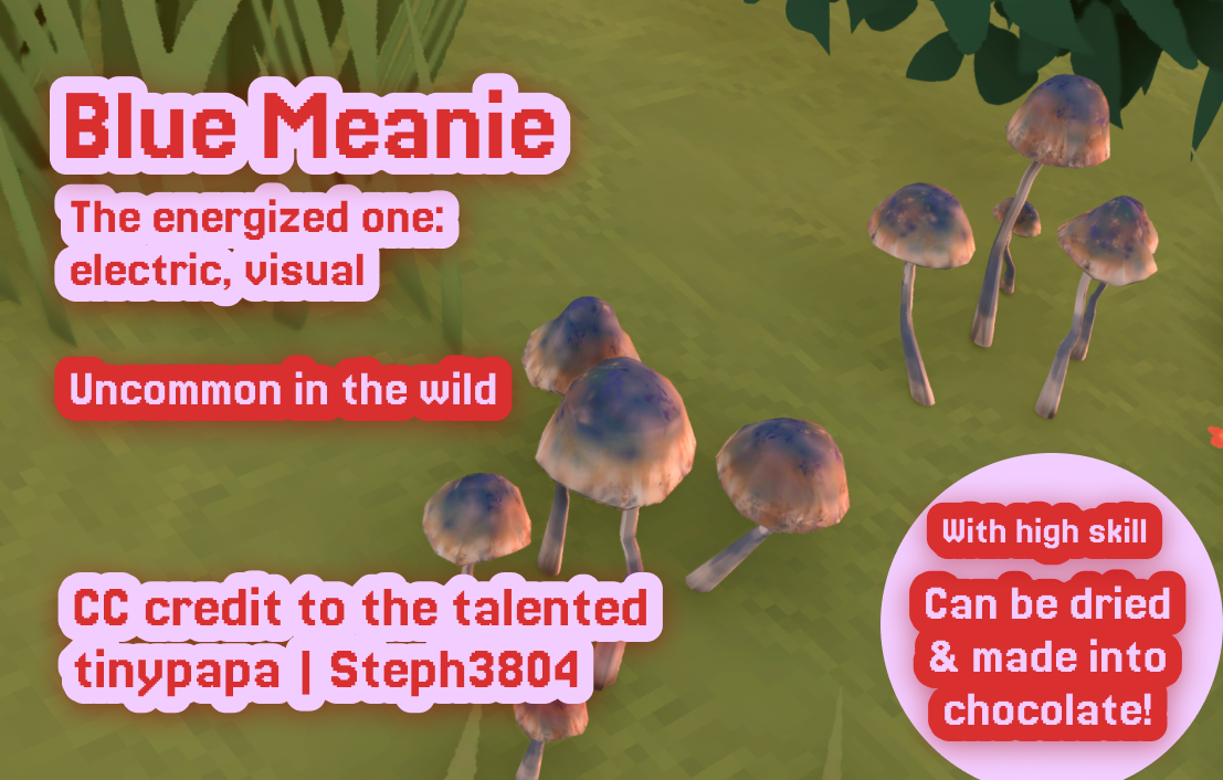 Magic Mushrooms image 5