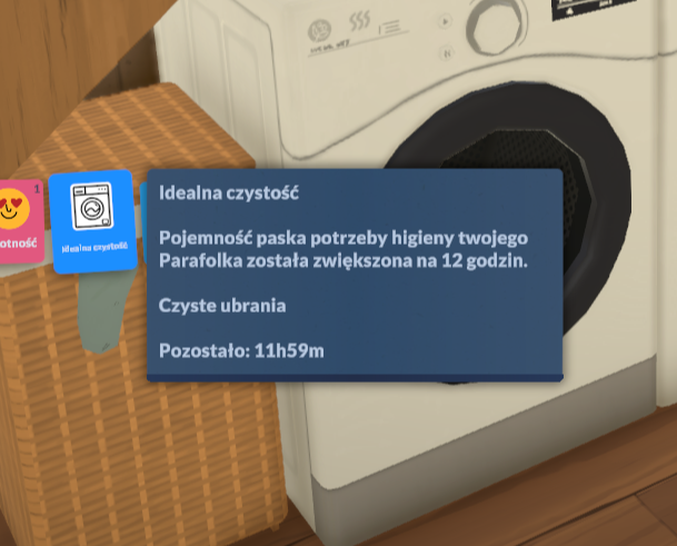 Laundry | Functional Washer | Polish Translation image 1