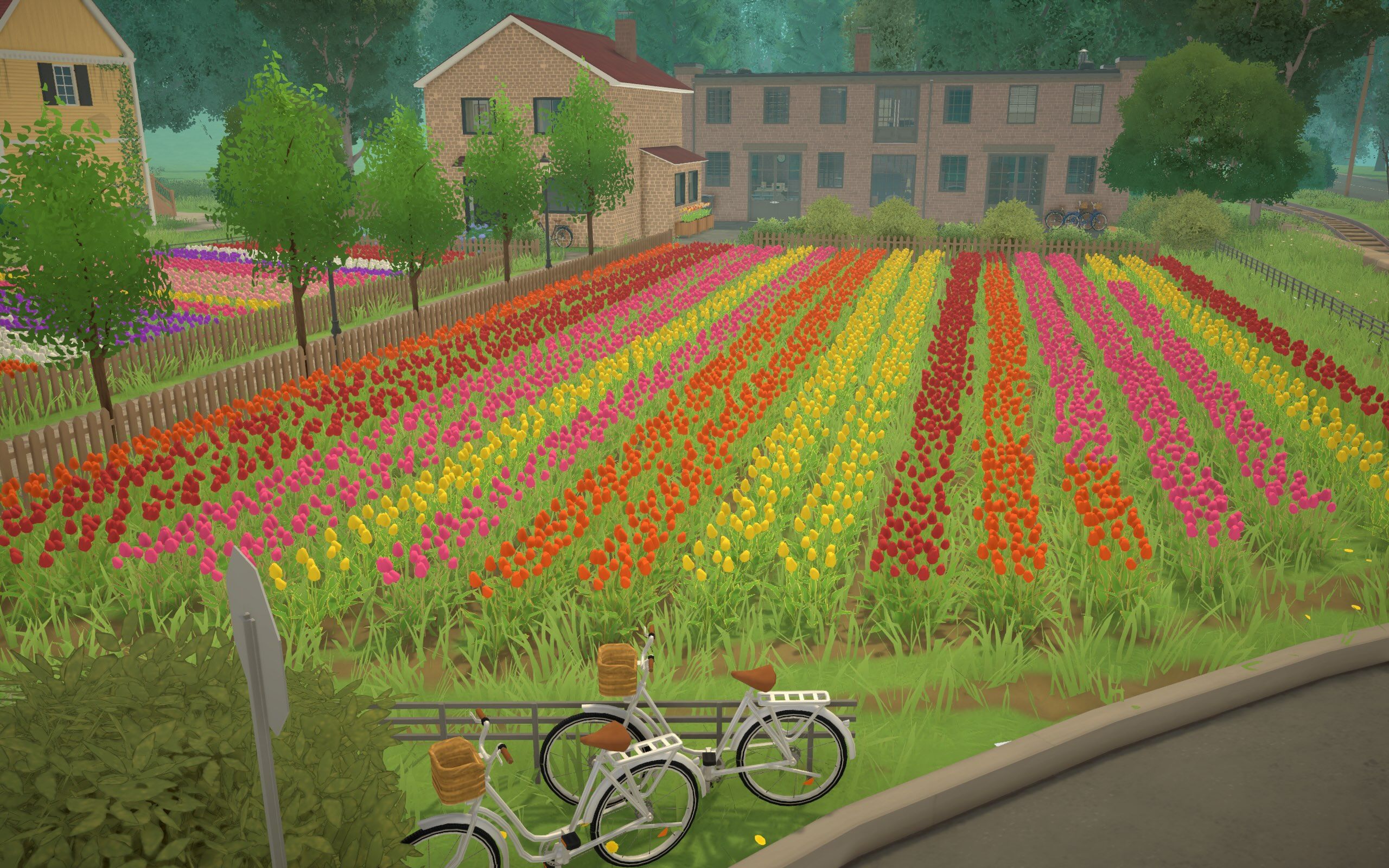 Dutch Tulip Bulb Farm - updated version image 2