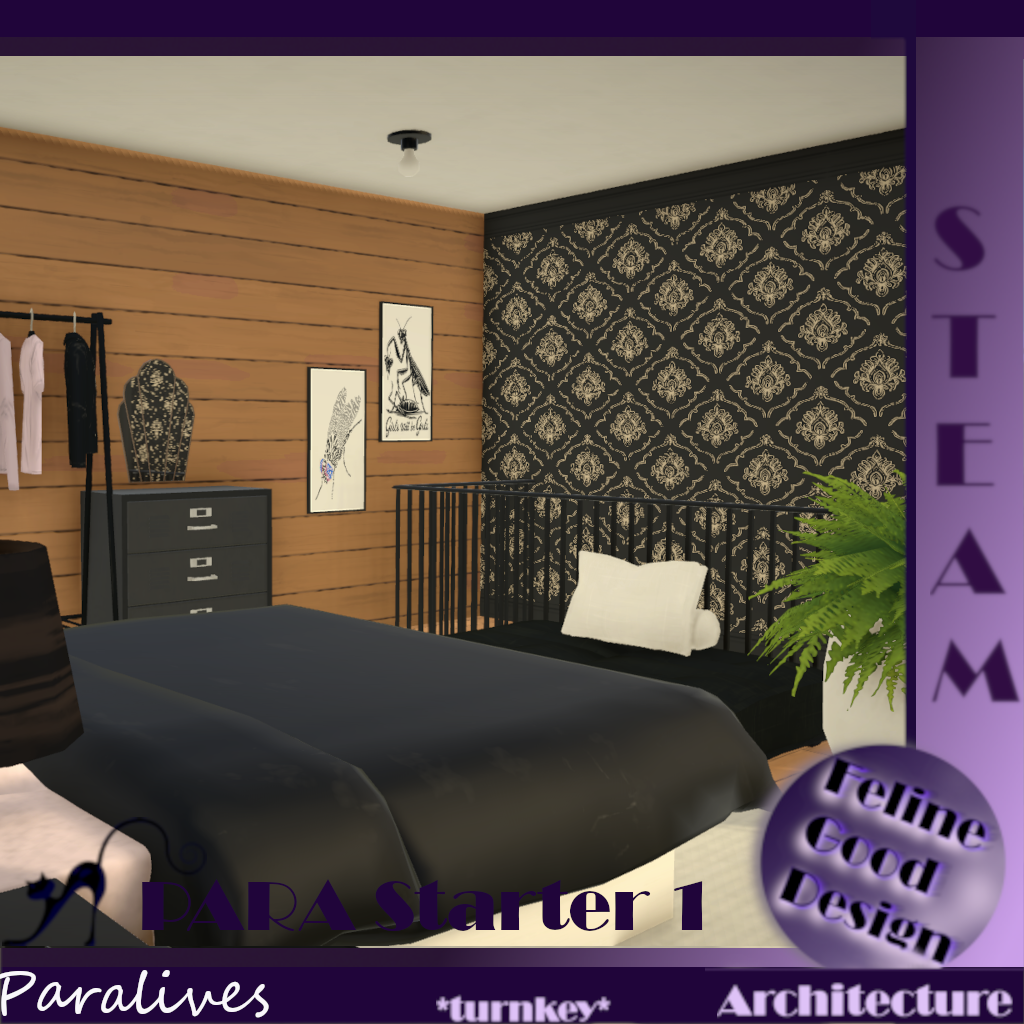 PARA Starter 1 -turnkey- image 11