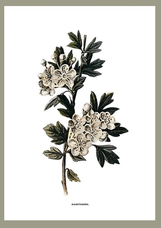 Flower art image 4