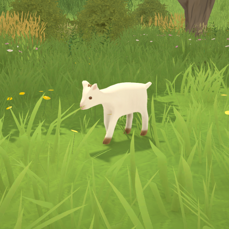 Baby Goats image 4