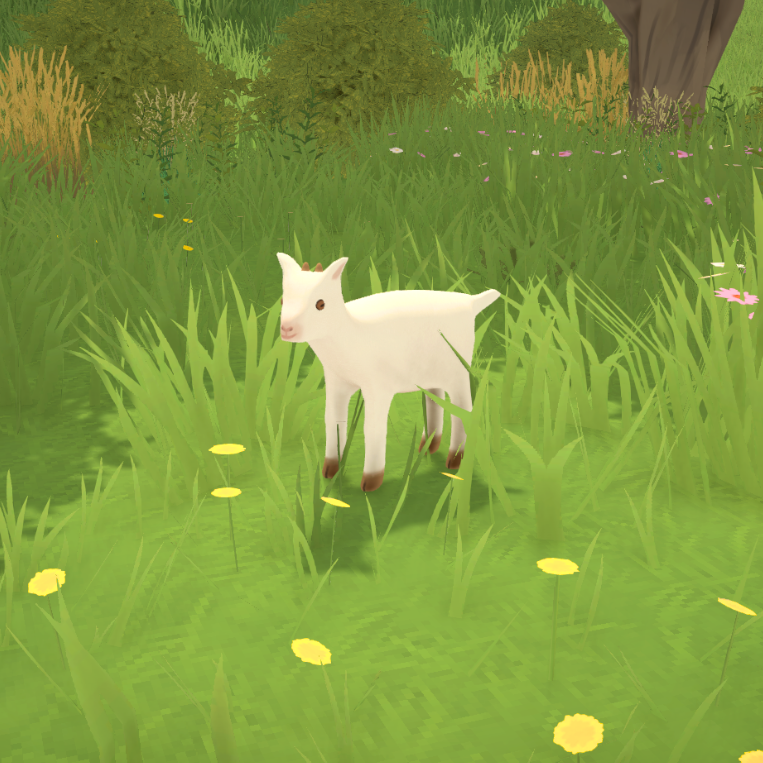 Baby Goats image 2