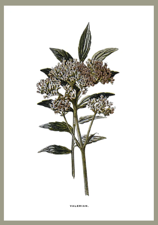Flower art image 2
