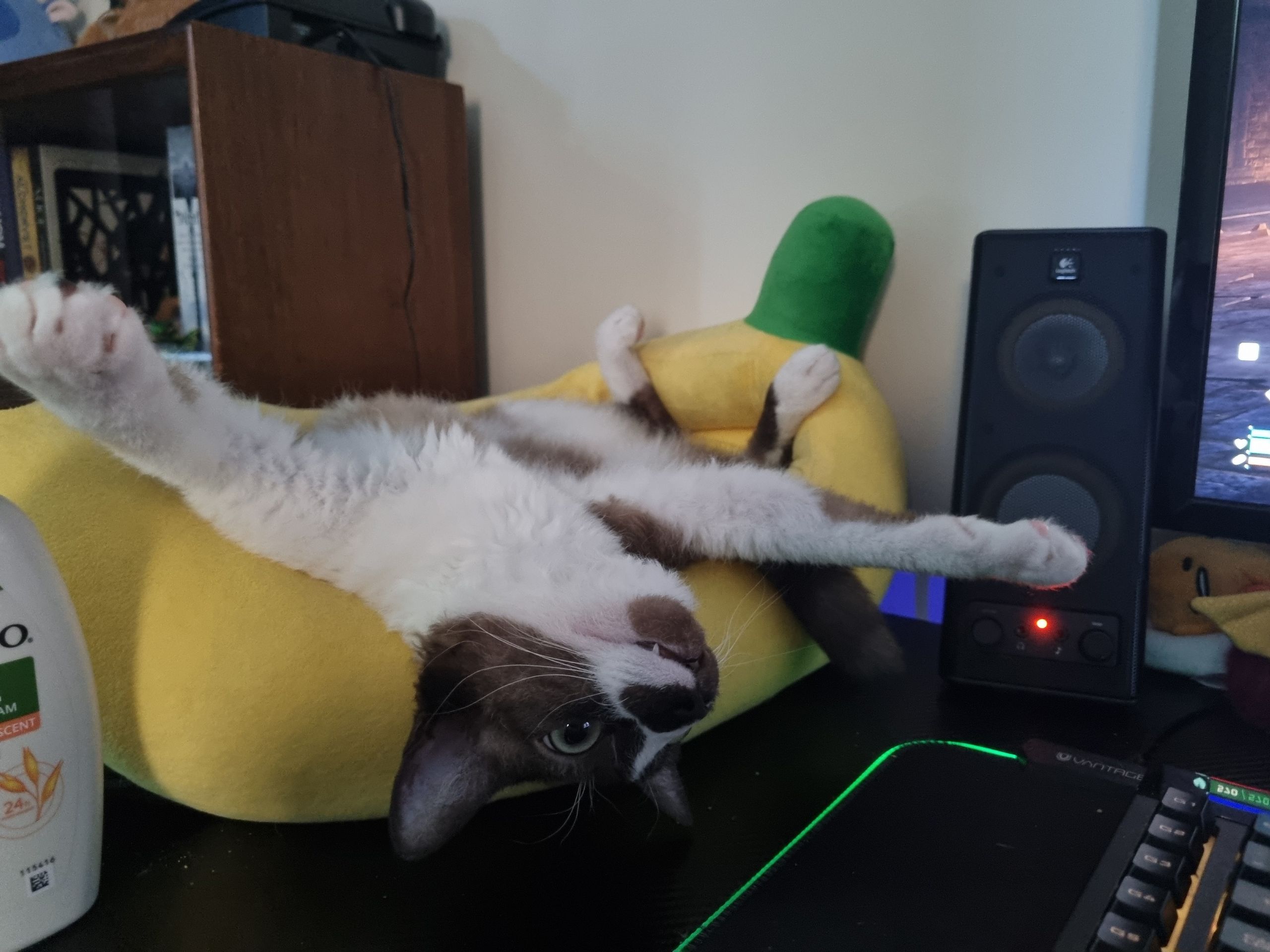 Banana Bed image 3