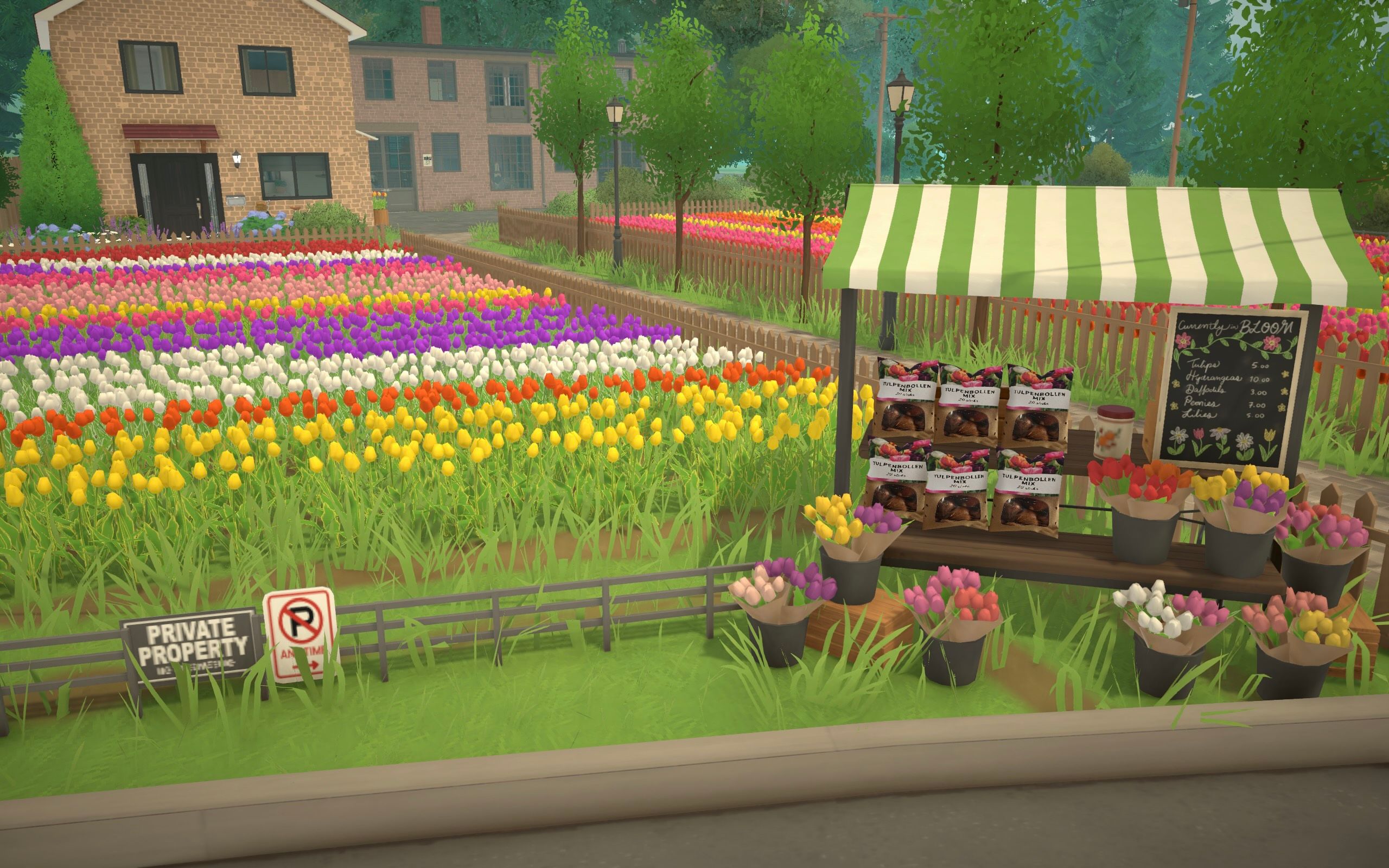Dutch Tulip Bulb Farm - updated version image 1