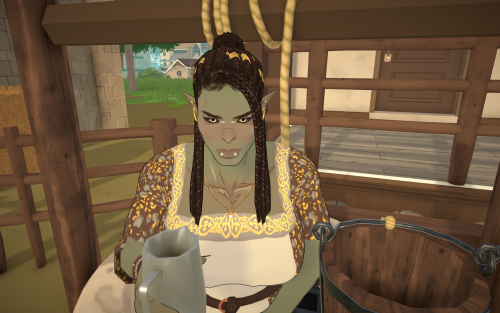 Bashuk The Orc image 7