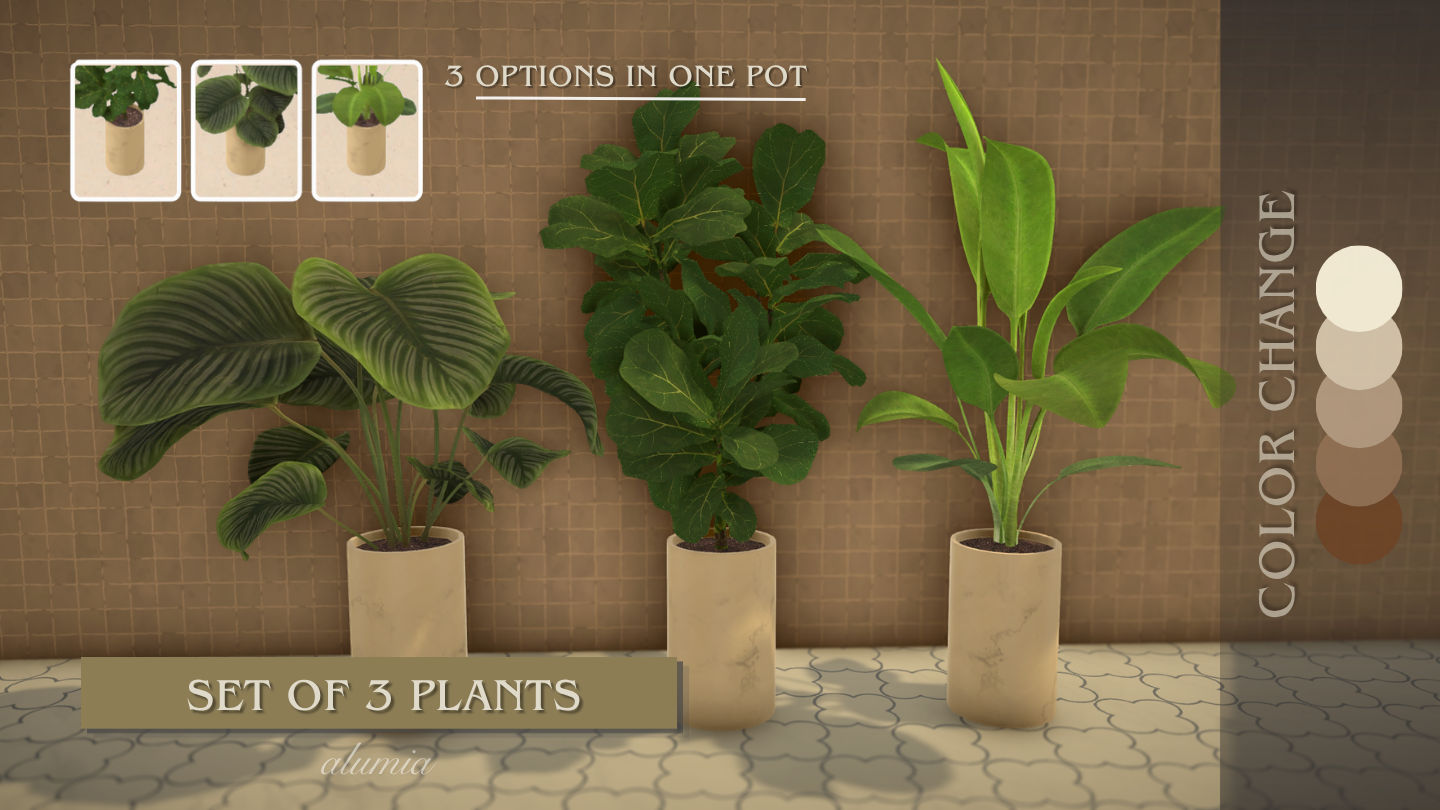 Set of 3 Plants image 1