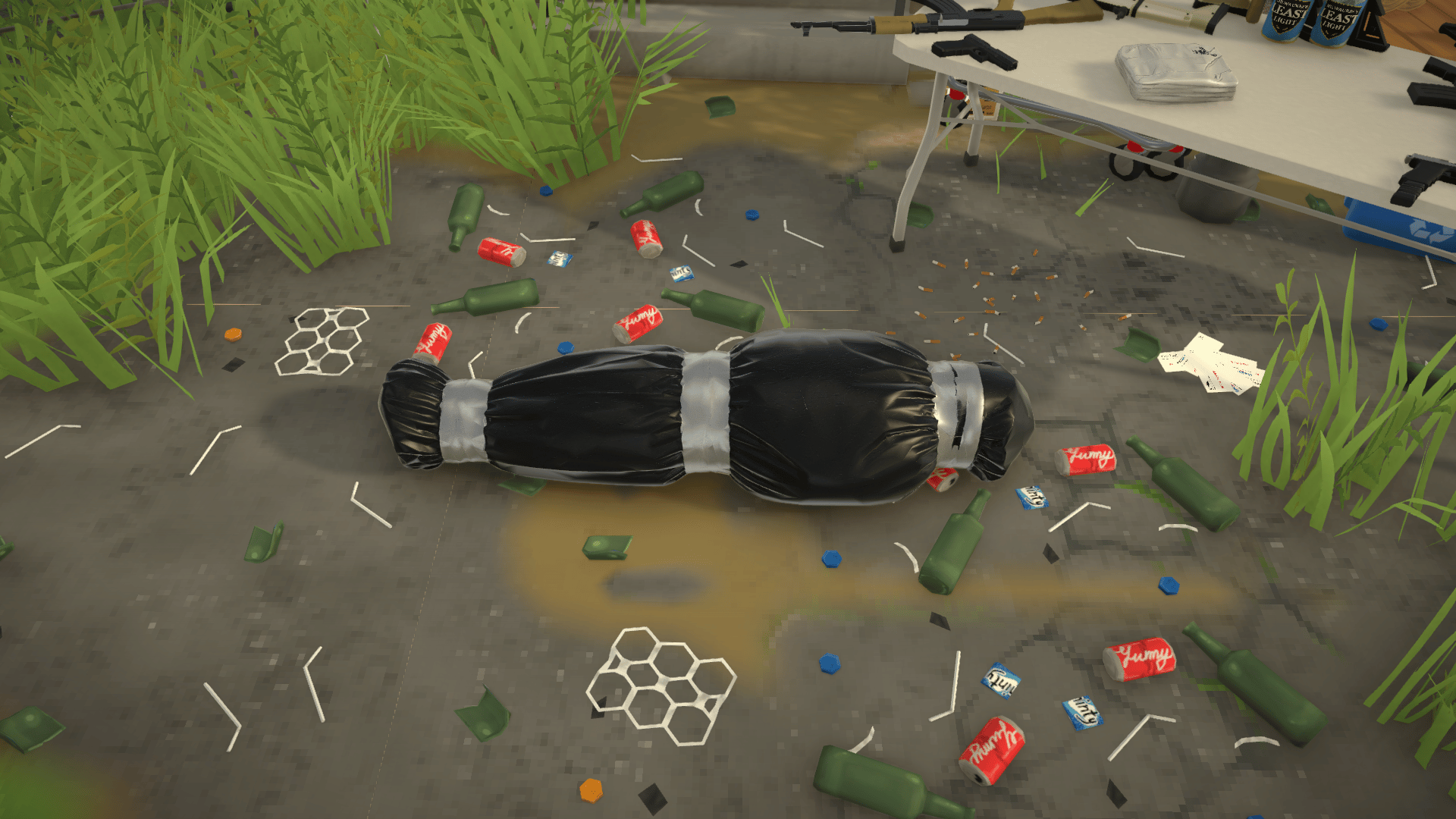 Body Bag image 1